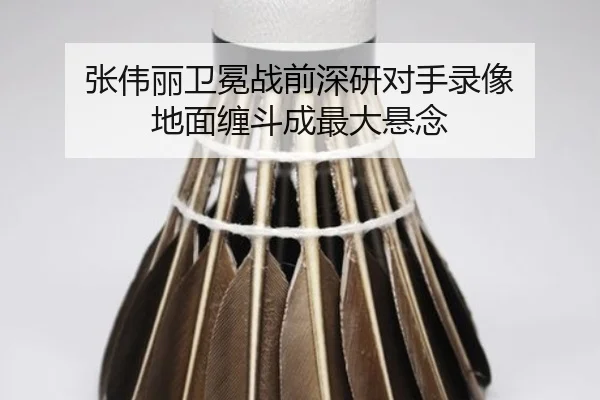 张伟丽卫冕战前深研对手录像 地面缠斗成最大悬念